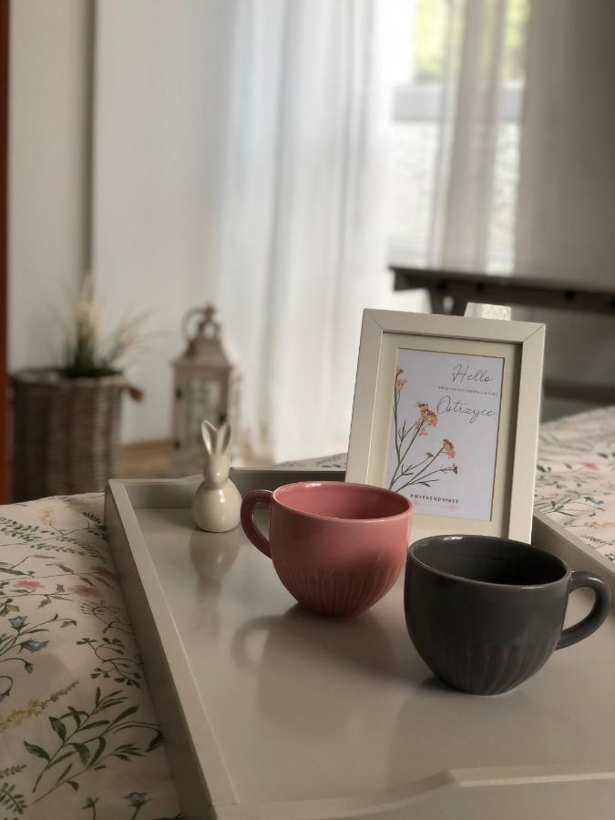 Pokoje Agroturystyczne U Hani Ostrzyce Luaran gambar